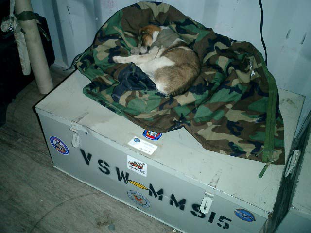 CIMG0025