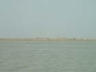 DSCF0017