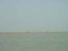 DSCF0019